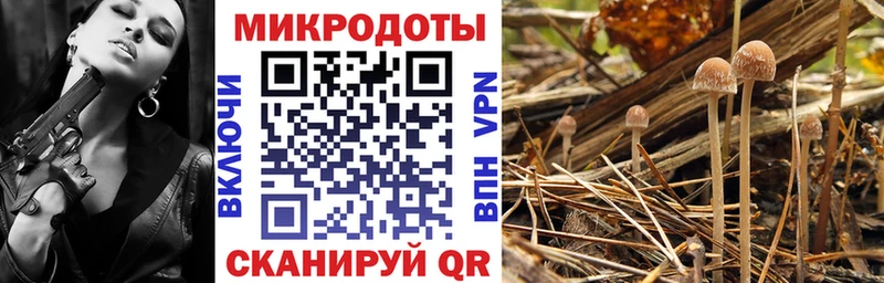 Псилоцибиновые грибы Psilocybine cubensis  это Telegram  Козельск 
